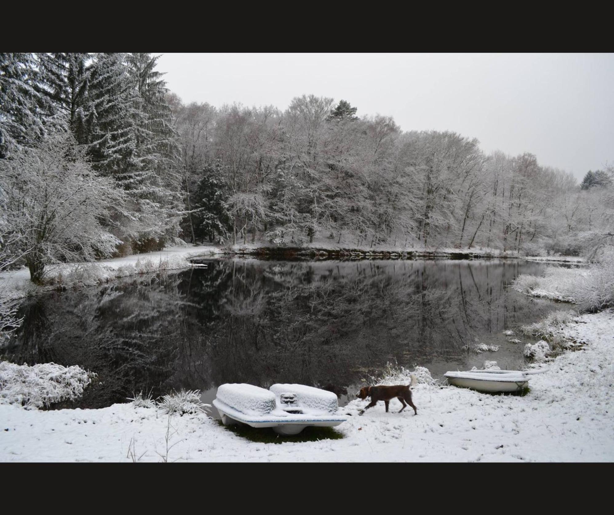 Cabane Limousine Au Bord D'Un Etang Bonnac-la-Côte Zewnętrze zdjęcie